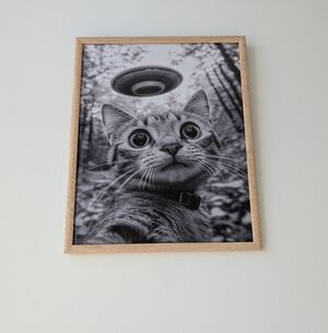 Framed Cat and UFO Art Print 36x29cm